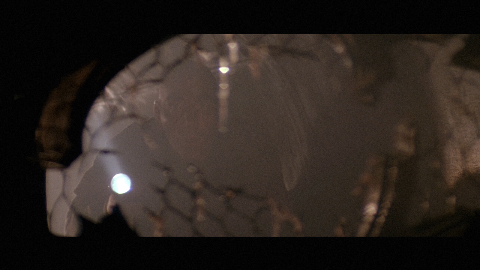 a close up of a person's face through a wire fence