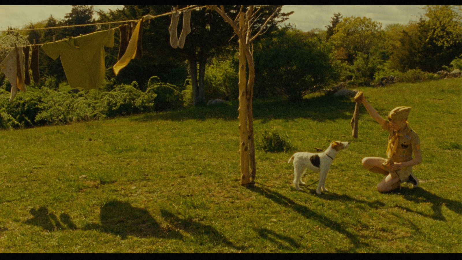 a woman kneeling down next to a dog on a lush green field