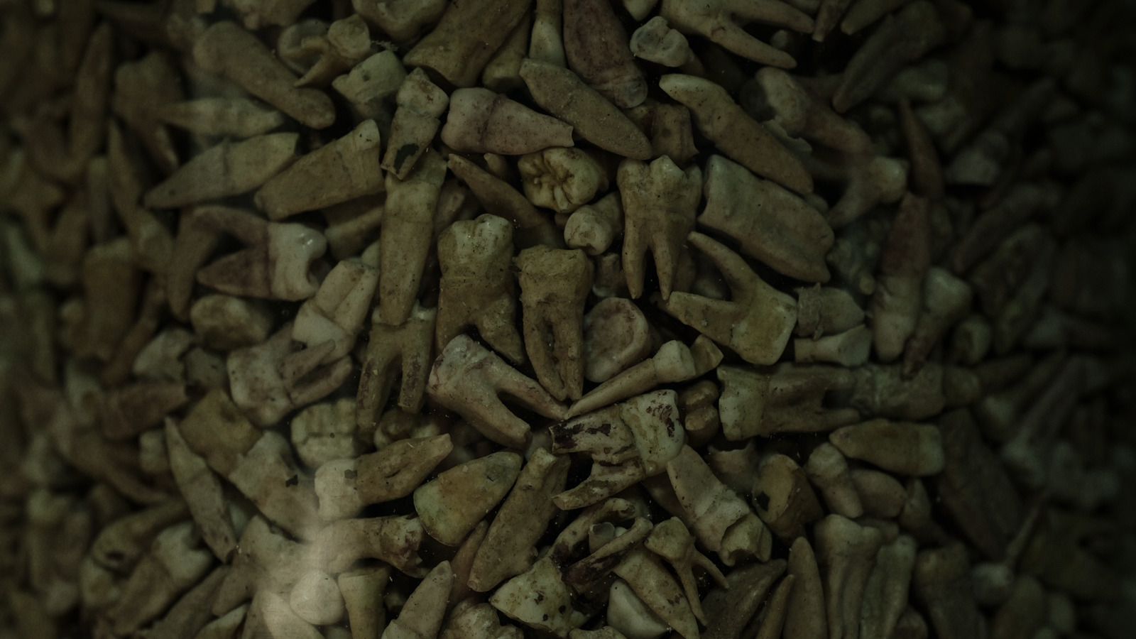 a close up of a pile of wood pellets