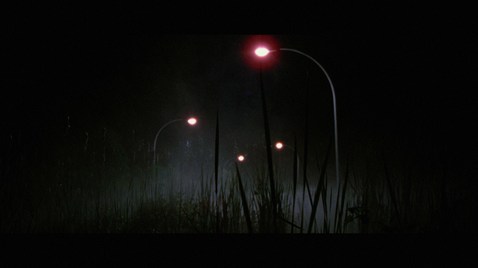 a couple of red street lights sitting on top of a lush green field