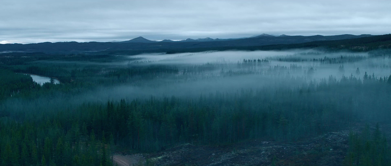 a foggy forest with mountains in the distance