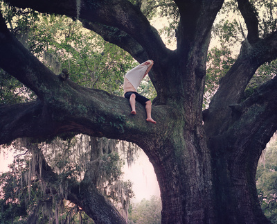 a man sitting on top of a large tree