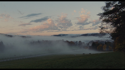 a foggy field with horses grazing in the distance