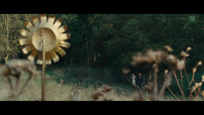 a man and a woman are walking through a field