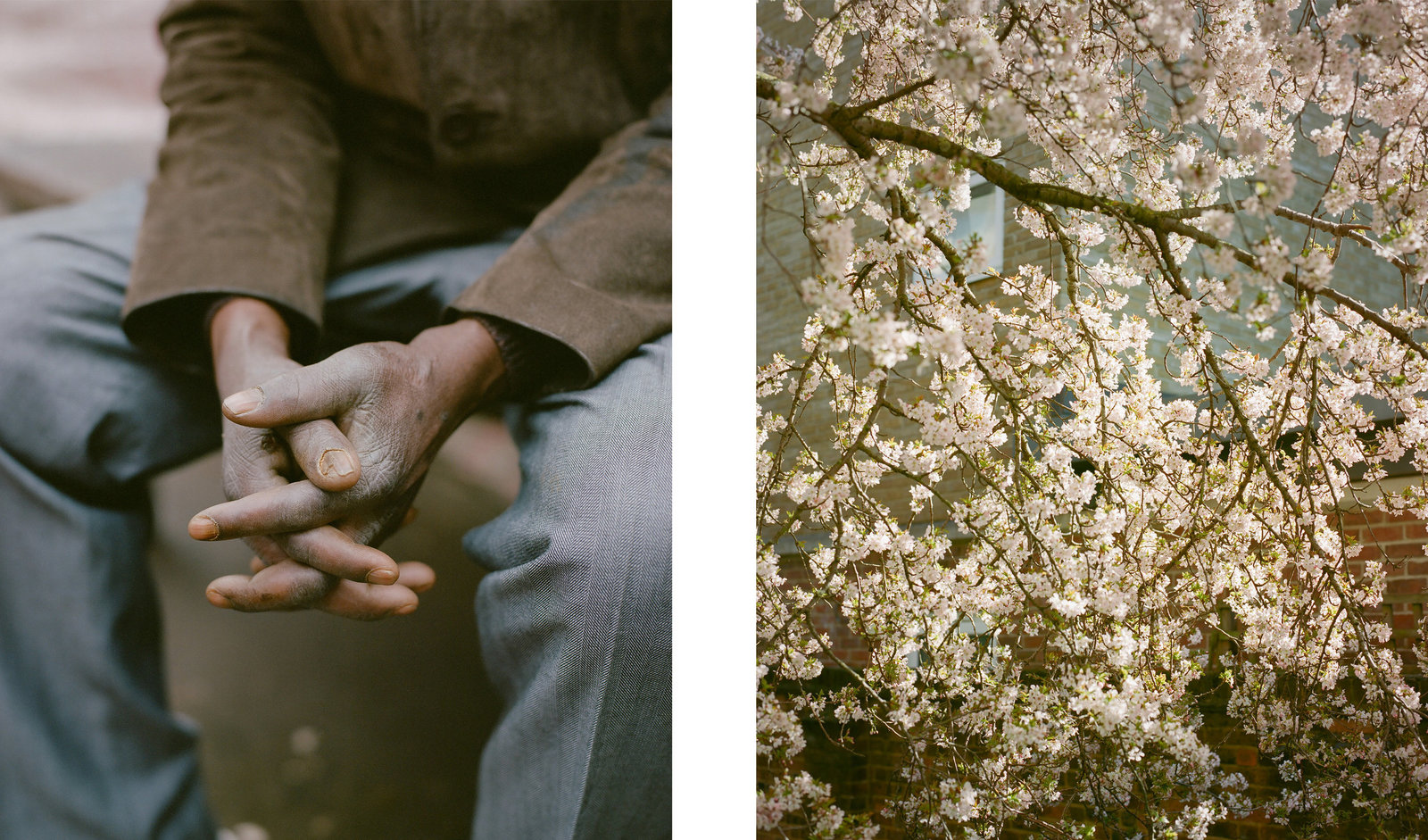 a man sitting on a bench in front of a tree