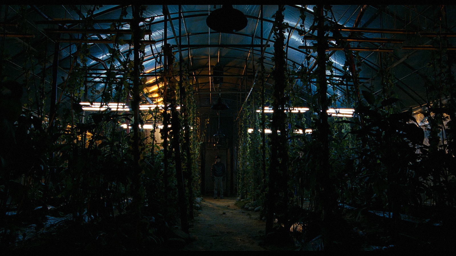 a dark room with lots of plants growing inside of it