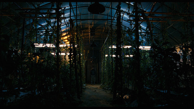 a dark room with lots of plants growing inside of it