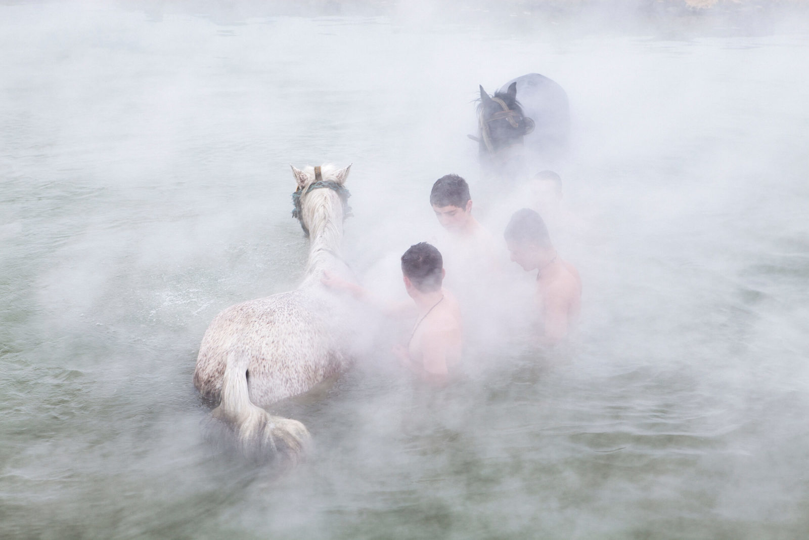 a group of people in a body of water with a horse