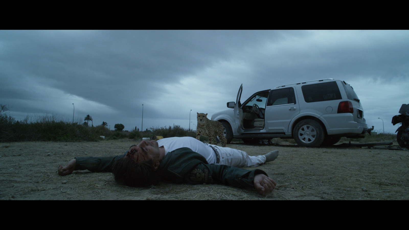 a man laying on the ground next to a truck