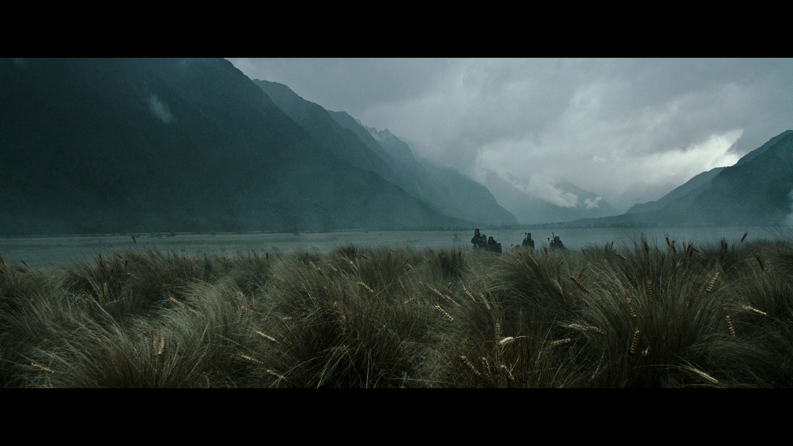 a group of people riding horses through a lush green field