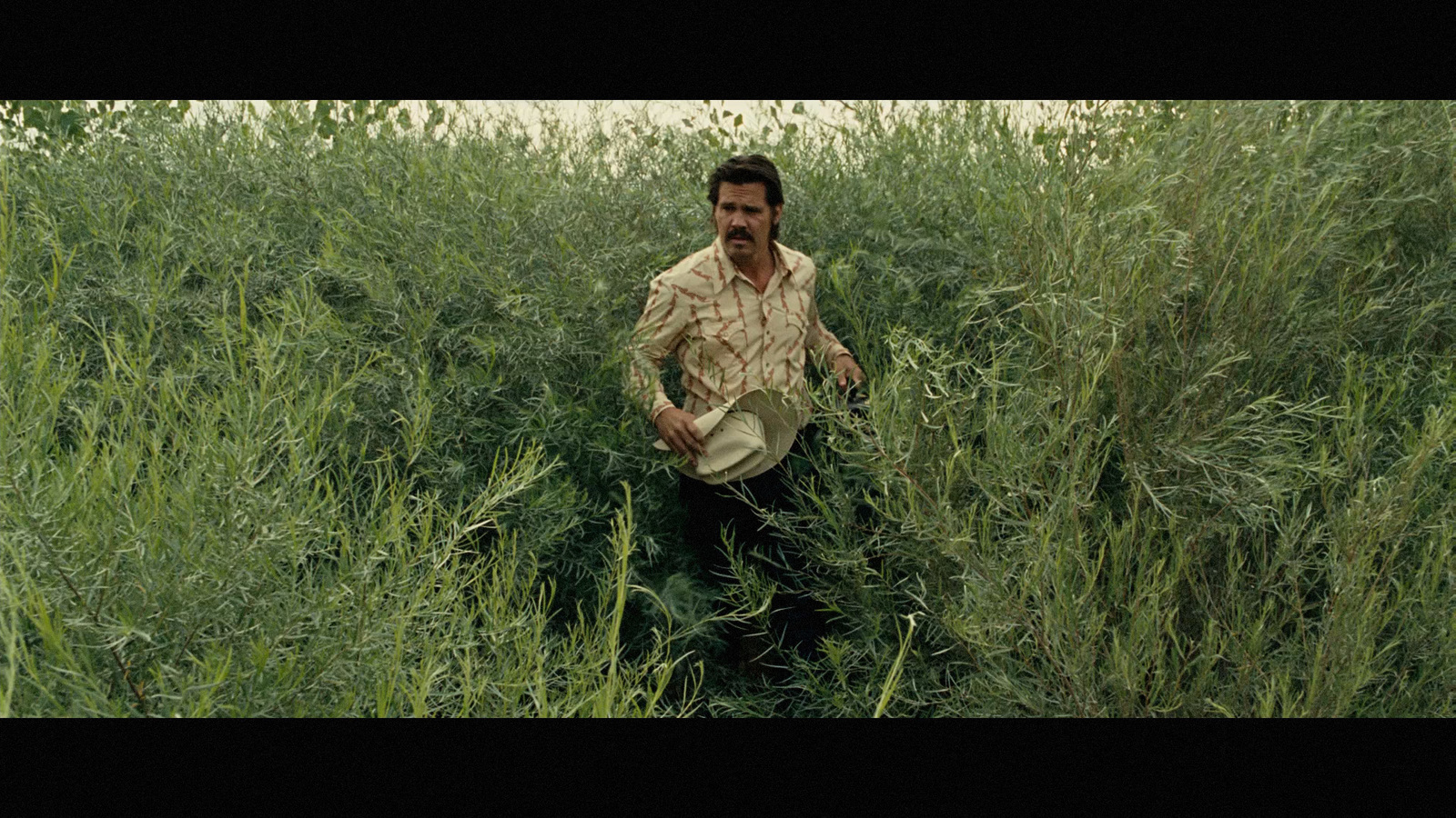 a man standing in a field of tall grass