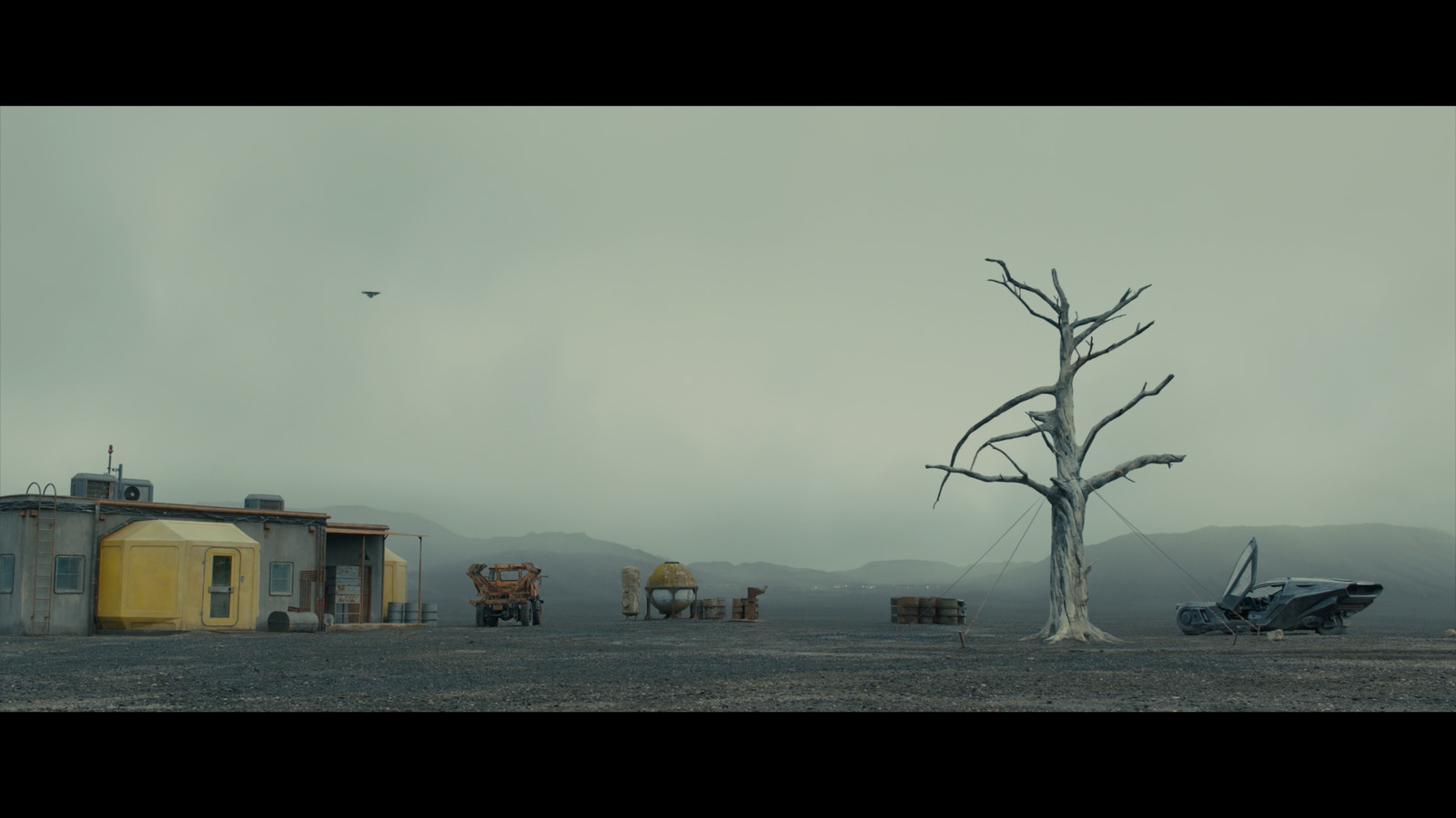 a lone tree stands in the middle of a barren field