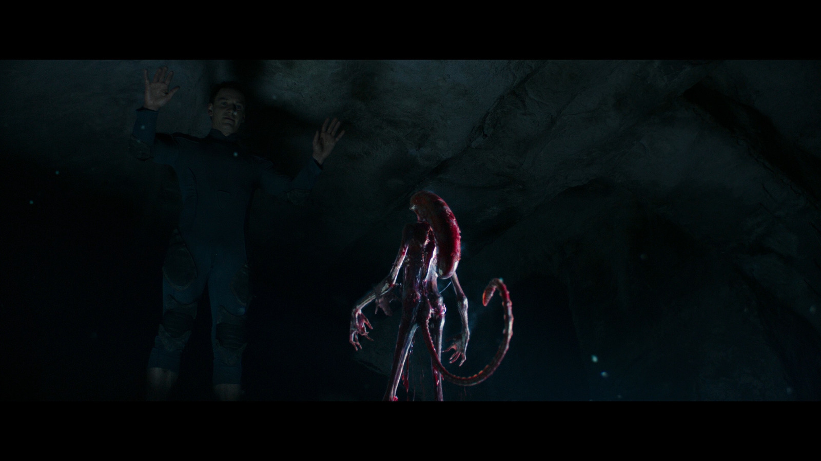 a man standing next to an octopus in a cave