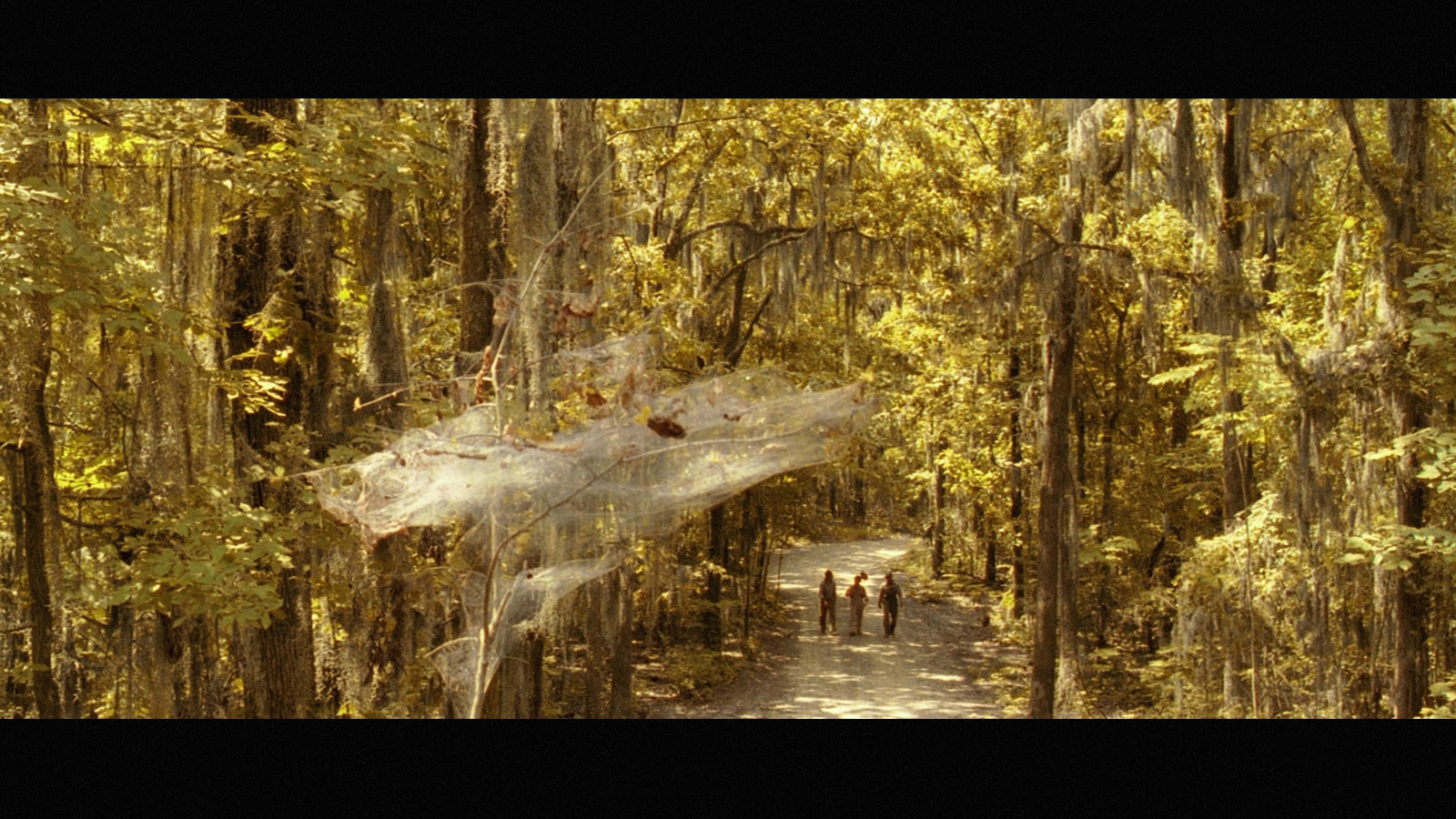 a group of people walking through a forest