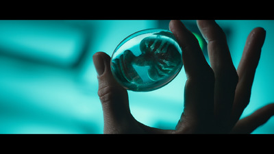 a person's hand holding a glass ball in front of a blue background