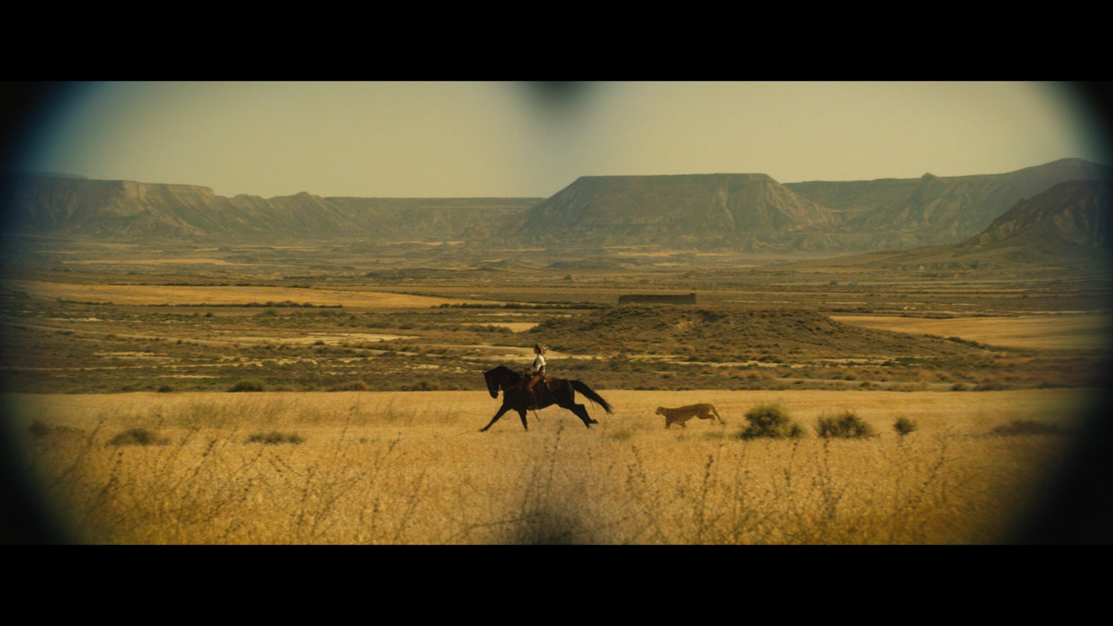 a man riding a horse through a dry grass field