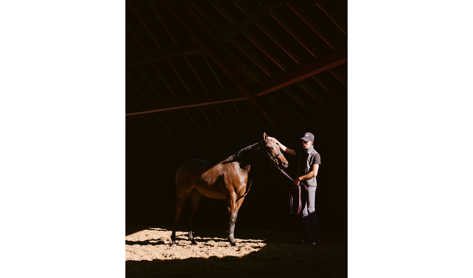 a man standing next to a brown horse