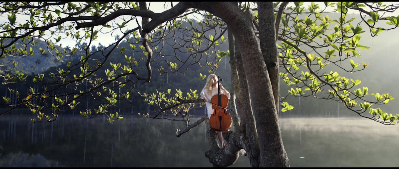 a woman sitting on a tree branch next to a lake