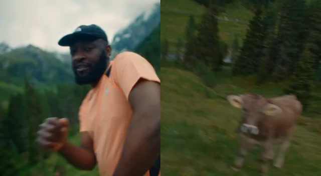 a man in an orange shirt and a cow in a field