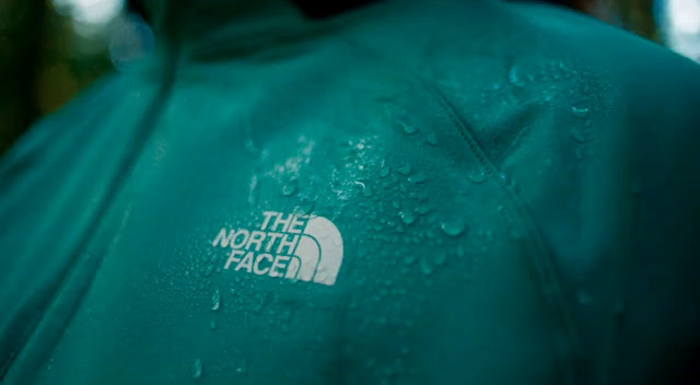 the north face logo on a green jacket