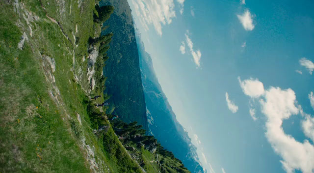 an aerial view of a grassy area and a body of water