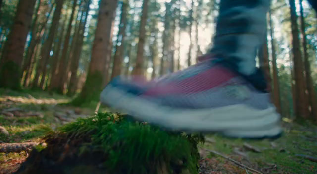 a person walking through a forest on a trail