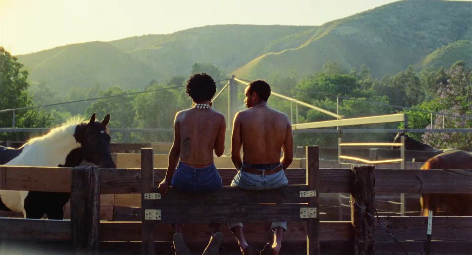 two men sitting on a fence looking at horses