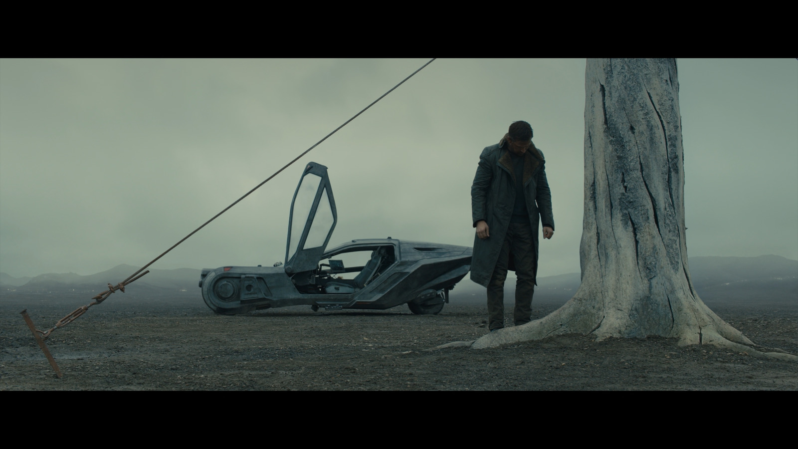 a man standing next to a car in a field