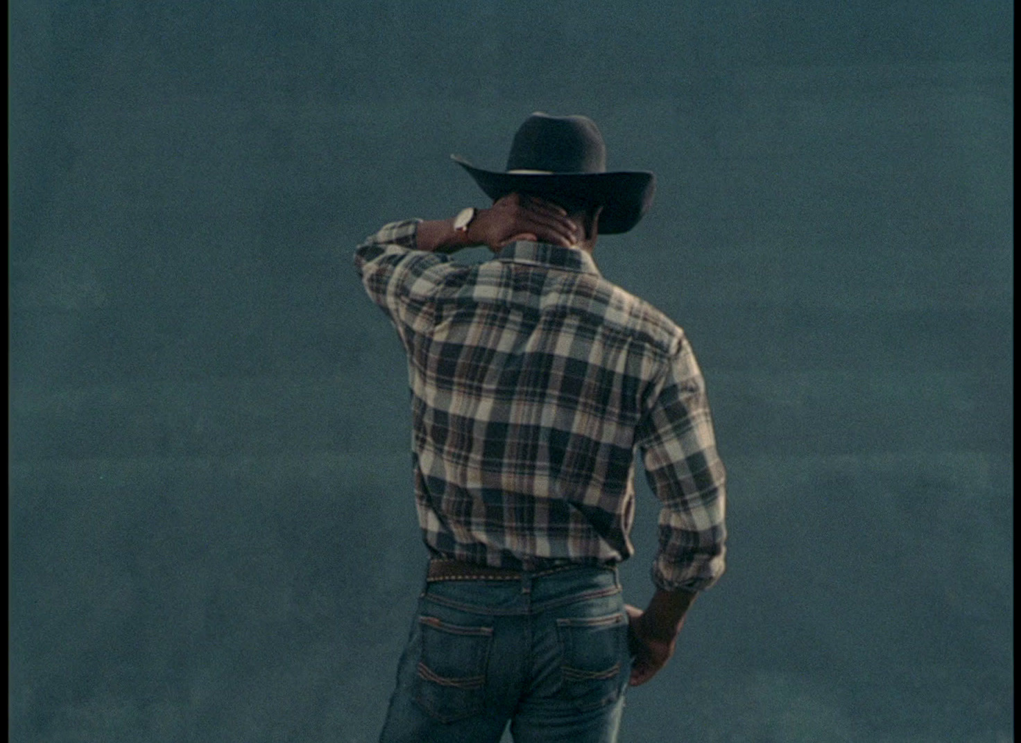 a man wearing a cowboy hat and a plaid shirt