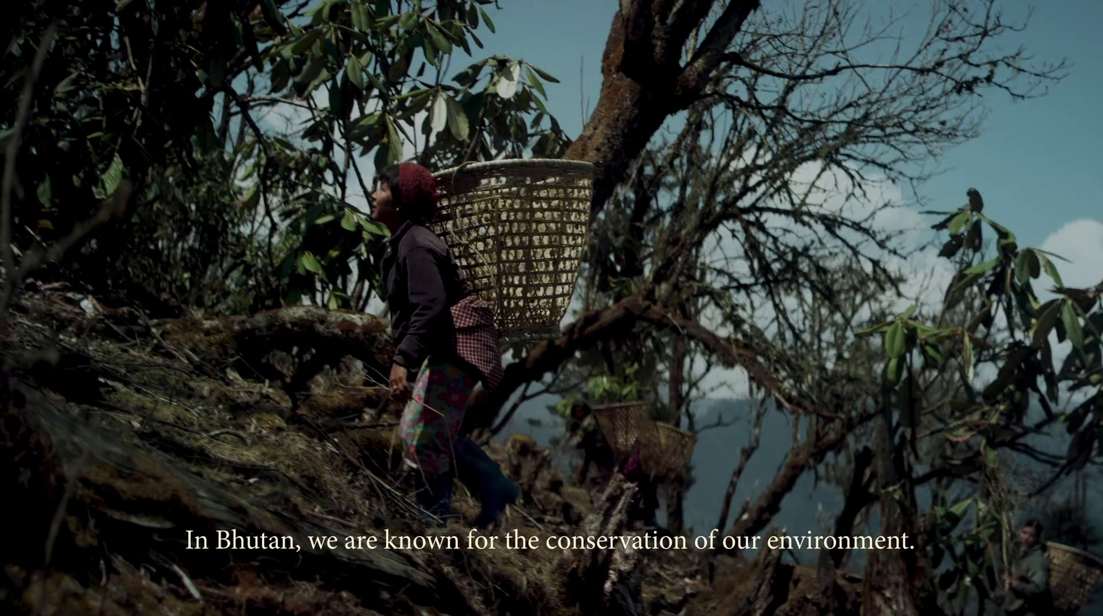 a man walking up a hill carrying a basket