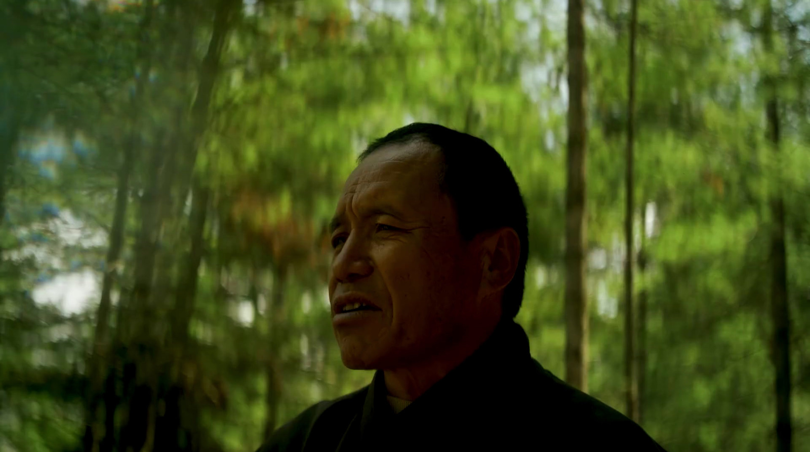 a man standing in front of a lush green forest