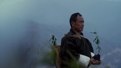 a man holding a small plant in his hands