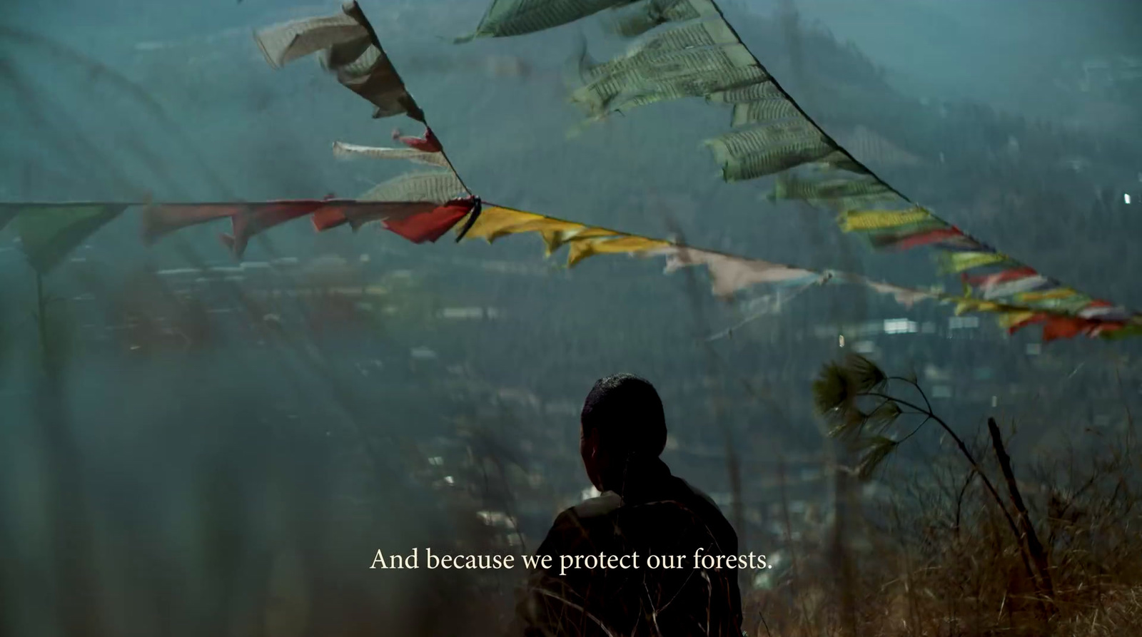 a man standing in front of a bunch of flags