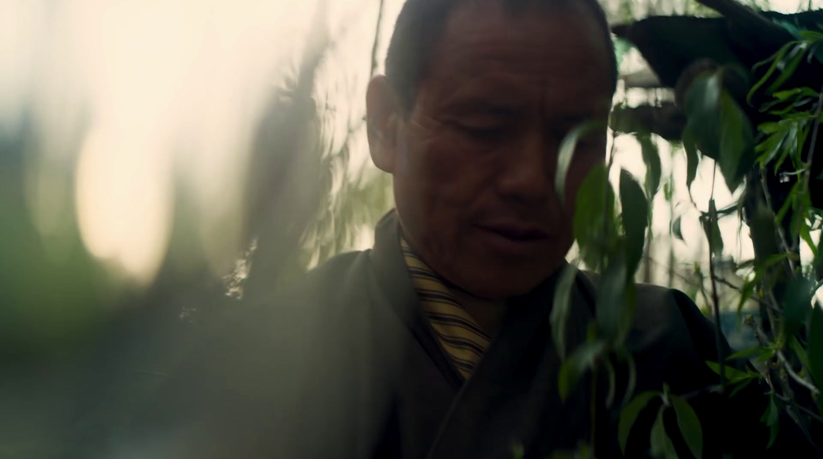 a man standing next to a tree looking at his cell phone