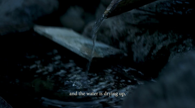 a close up of a person pouring water into a bowl