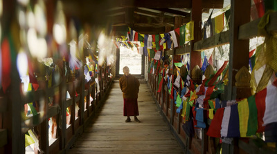 a person standing on a wooden walkway between flags