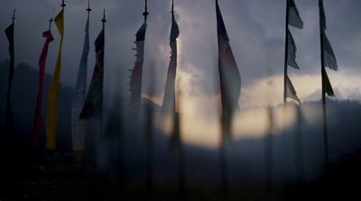 a bunch of flags that are flying in the sky