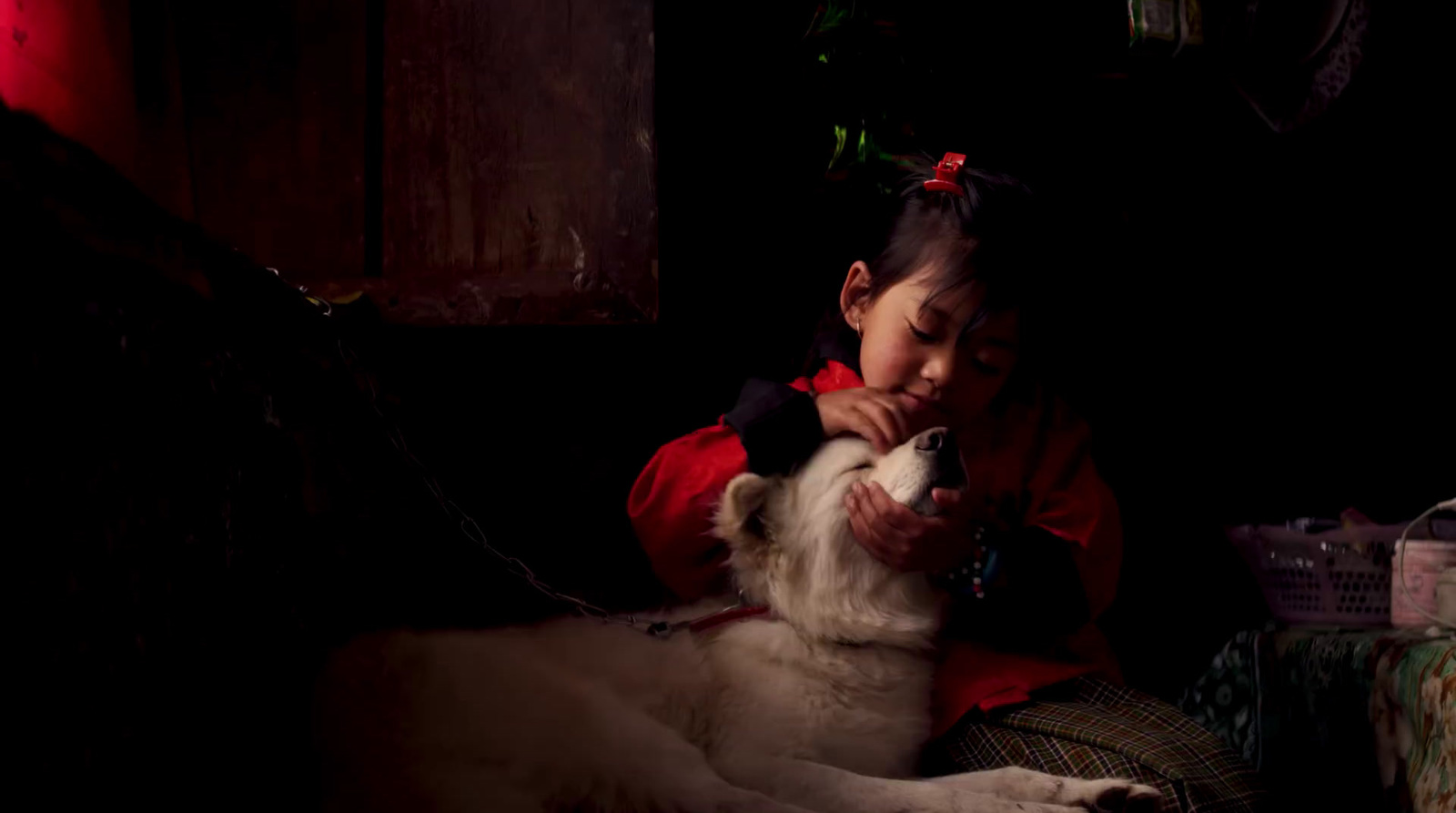 a young girl is petting a dog in the dark