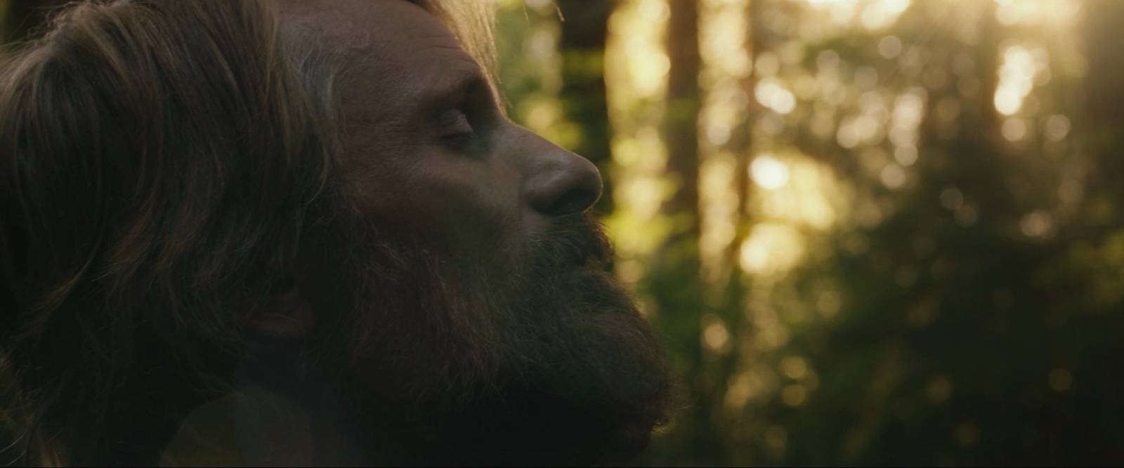 a man with long hair and a beard stares into the distance