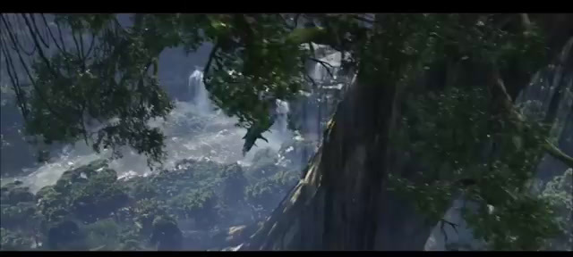 a bird flying over a lush green forest