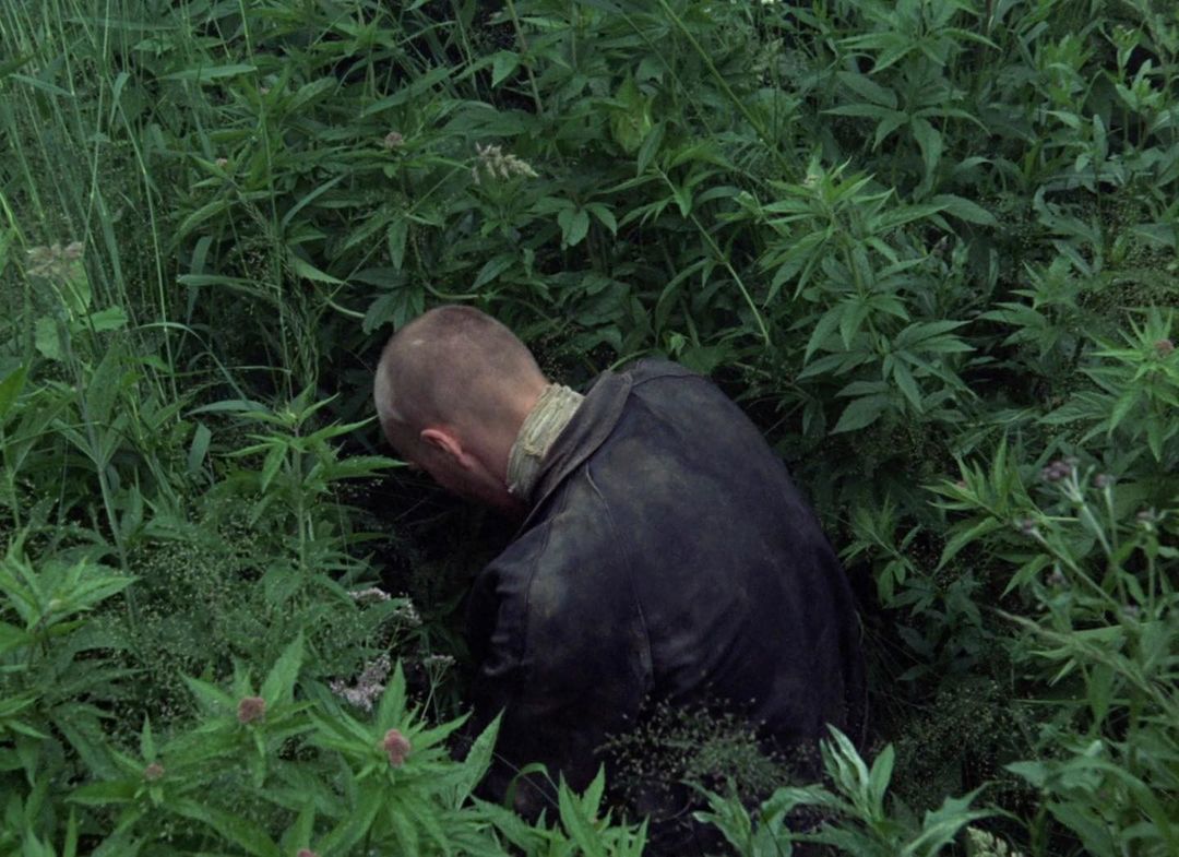 a man is hiding in the tall grass