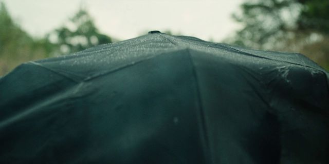 a close up of a black umbrella with trees in the background