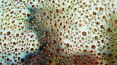 a close up of water droplets on a window