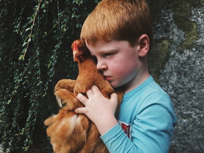 a young boy holding a chicken up to his face