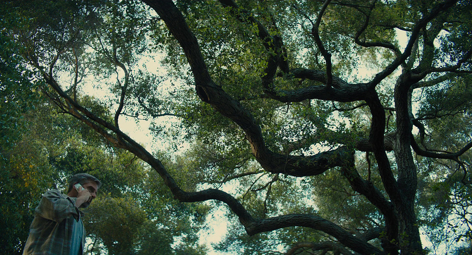 a man standing in front of a large tree