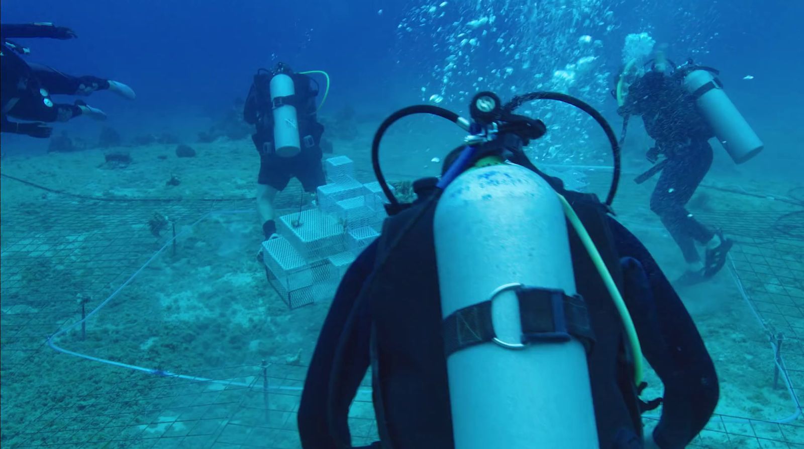 a group of scubas in the water near a pipe