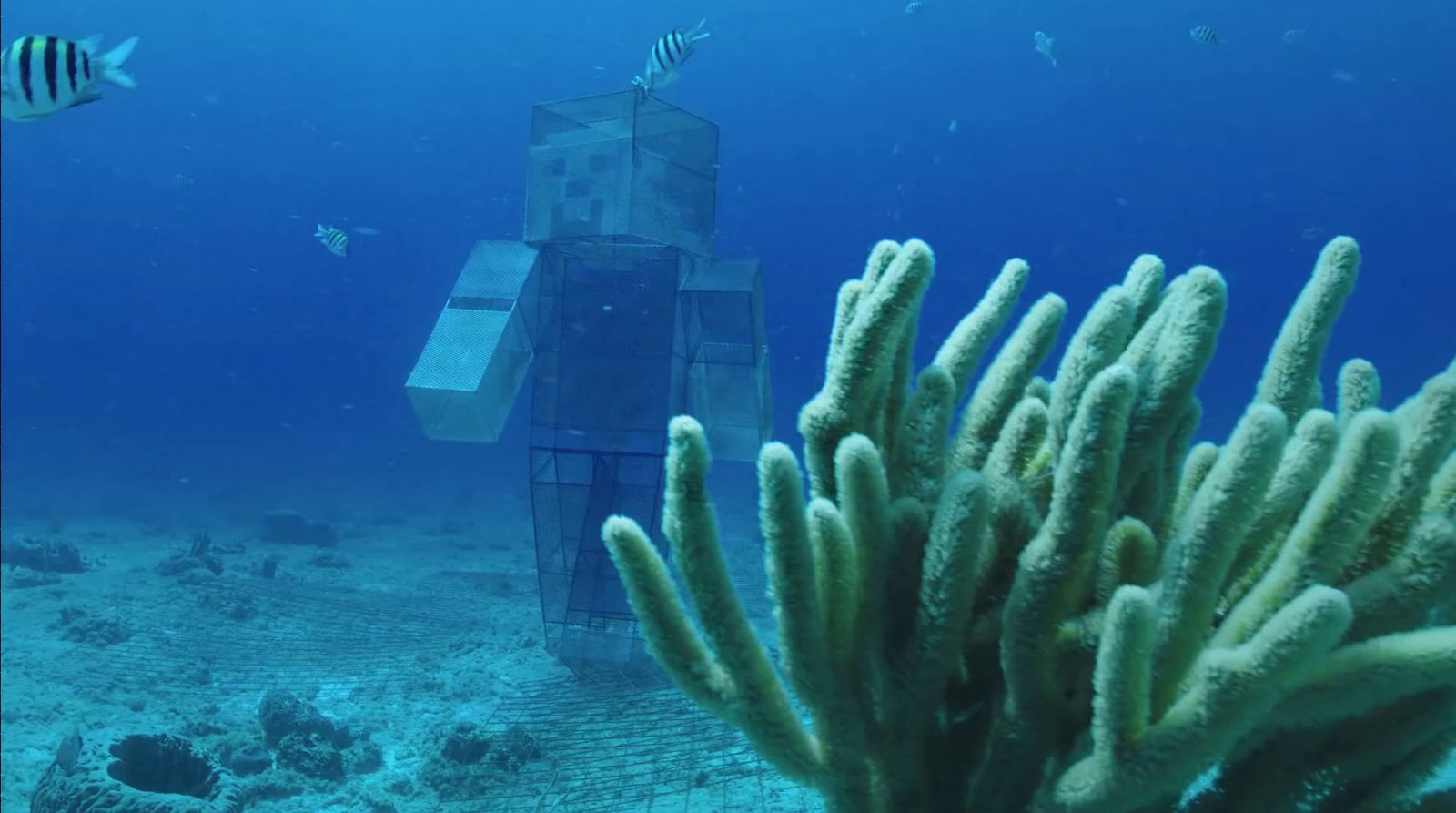 an underwater photo of a building and corals