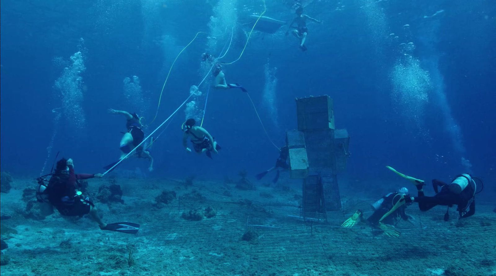 a group of people diving in the ocean