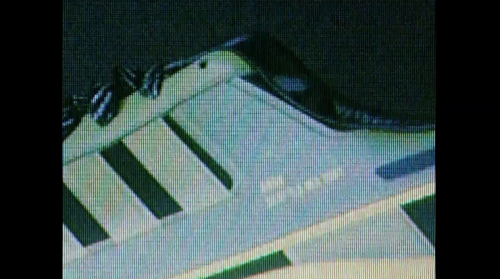 a close up of a tennis shoe with a blurry background