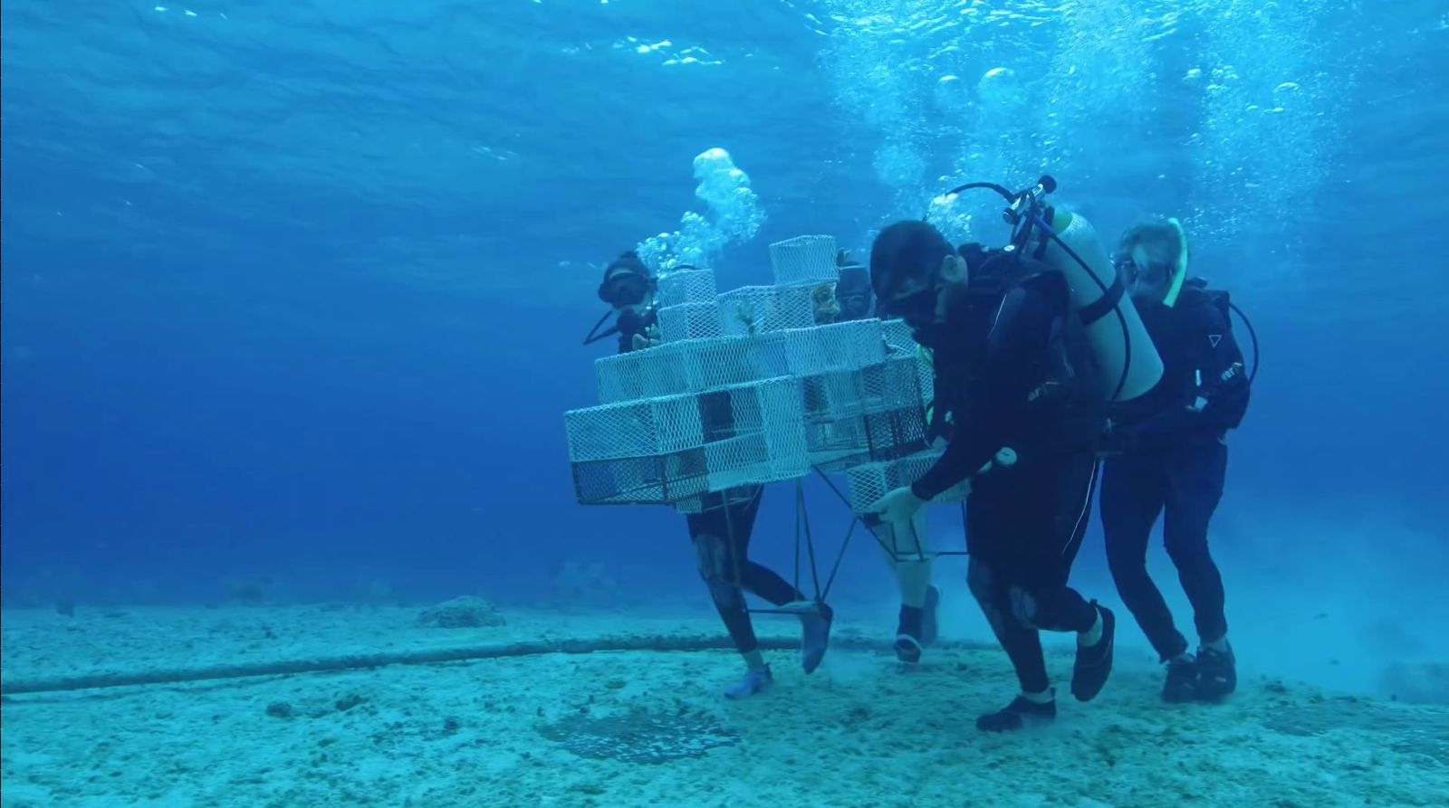 a group of people standing on top of a sandy ocean floor